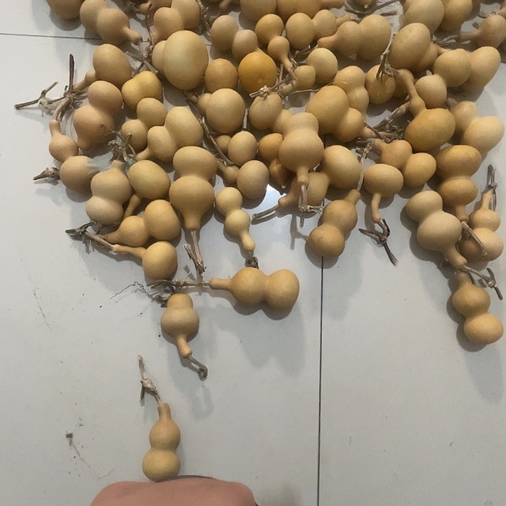 勇***阿里姐姐姐姐姐姐姐姐