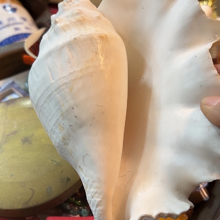 观***人老物的生活方式和生活方式