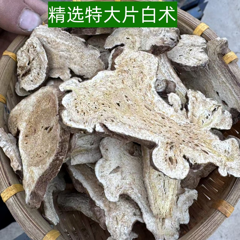甘肃多年生长特大白术精选货
