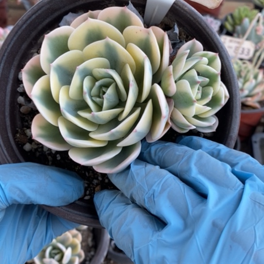 112一一一一一一一一一