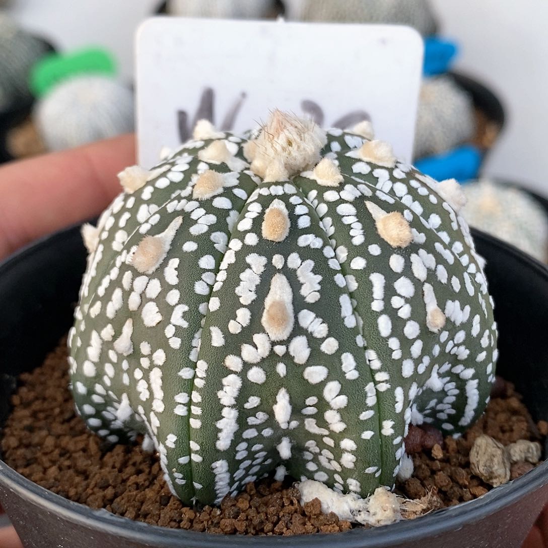 福利来咯我特价捡漏