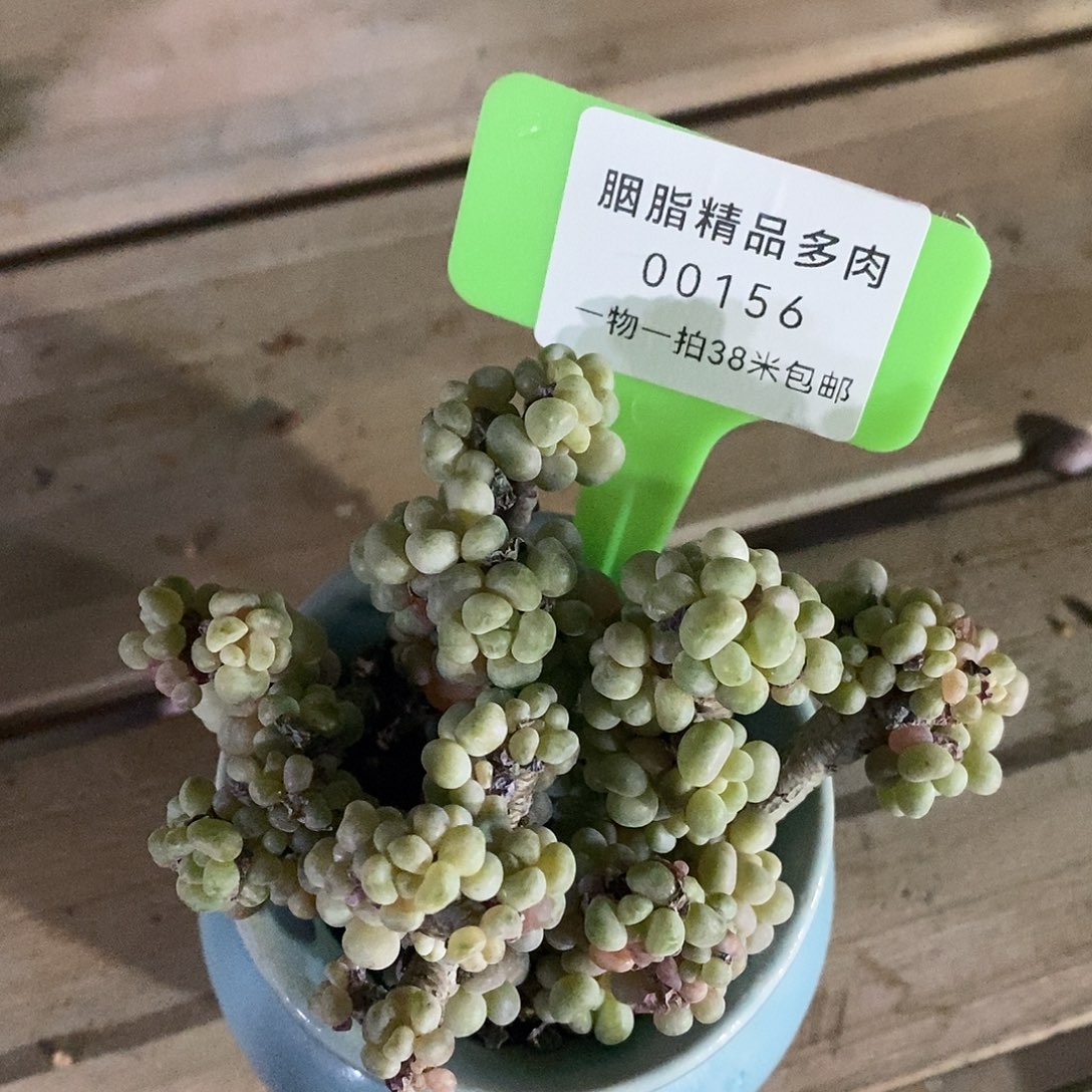 00156啊老婆去分许