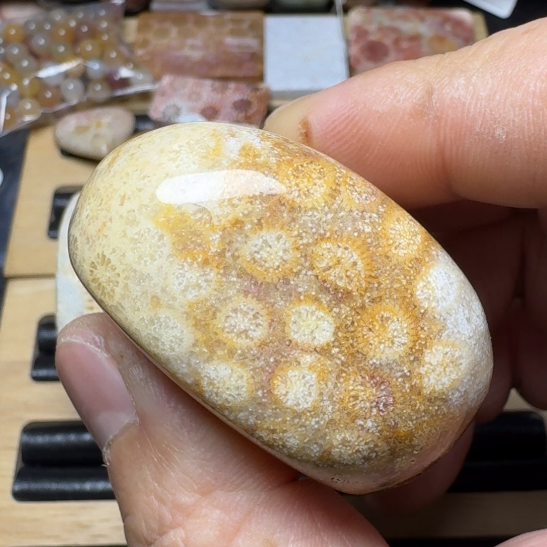 硅化玉纯天然色有机玉石手镯芯未镶嵌