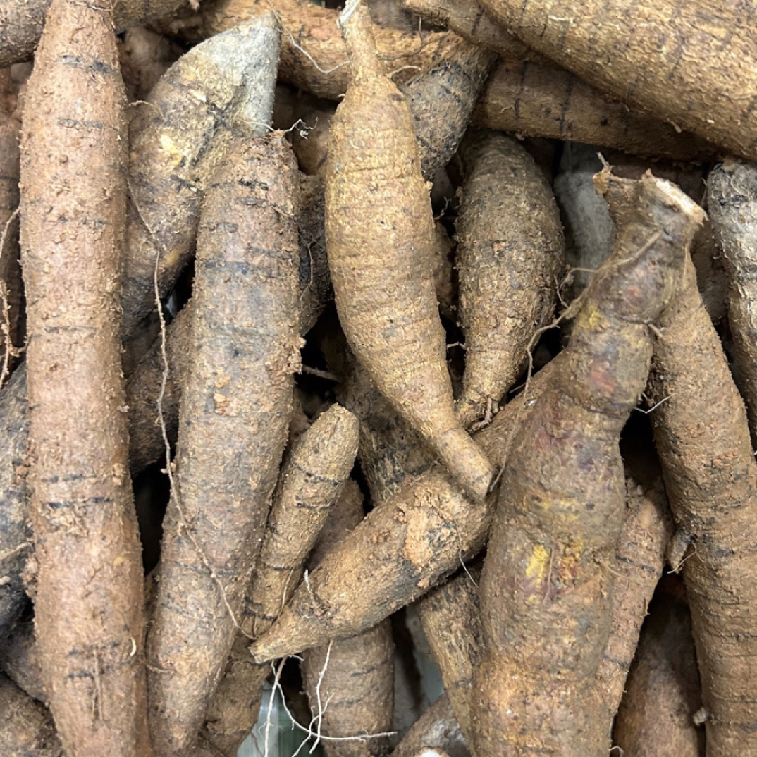 新鲜牛大力圆薯煲汤煮水泡酒靓料食材