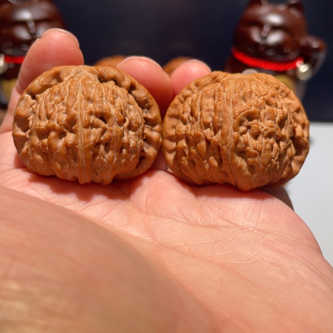 文玩核桃把件我***野白狮子40全品