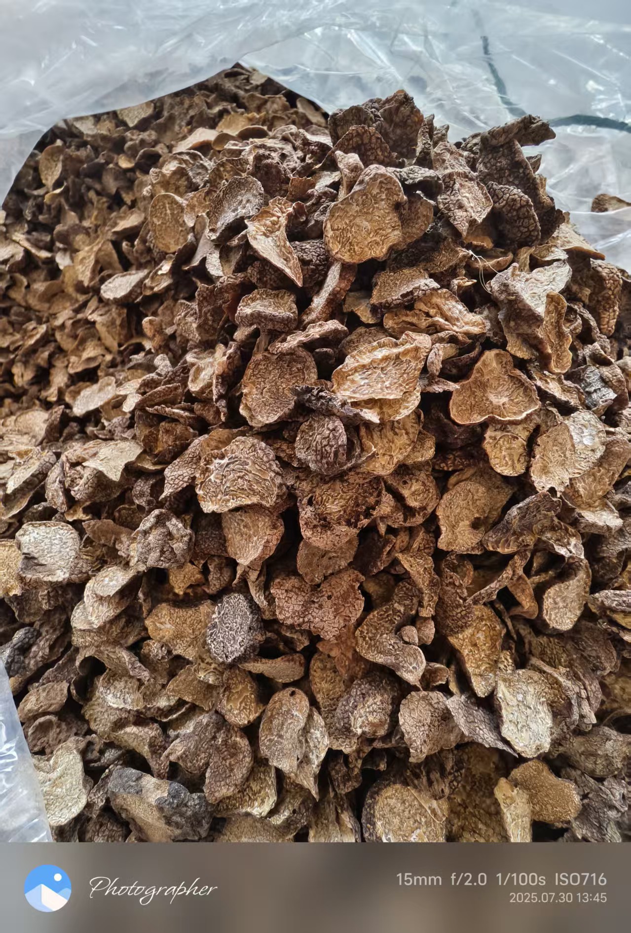 云南高海拔地区四大名菌正宗野生黑松露中片[茶片]干片菌菇干货