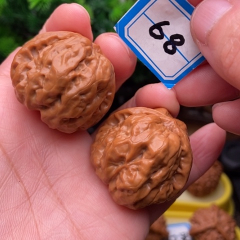 文玩核桃吊坠金蟾35