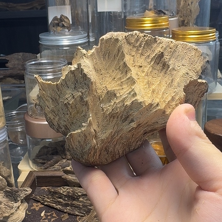 沉香沉香枕香港沉香料子