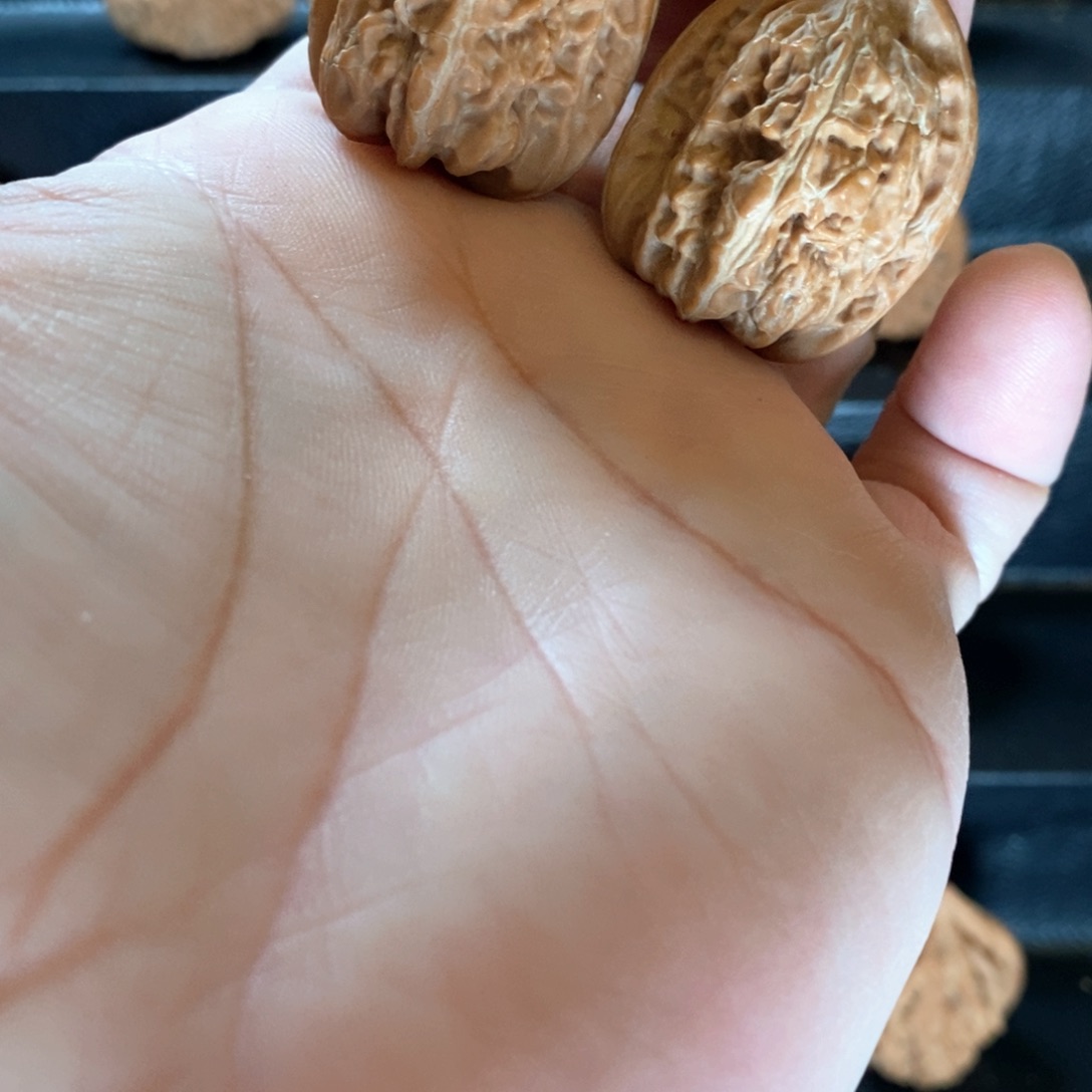 桃核把件山地老树赤龙微修29