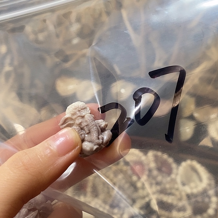 熊****非金属鹿角鹿角鹿角