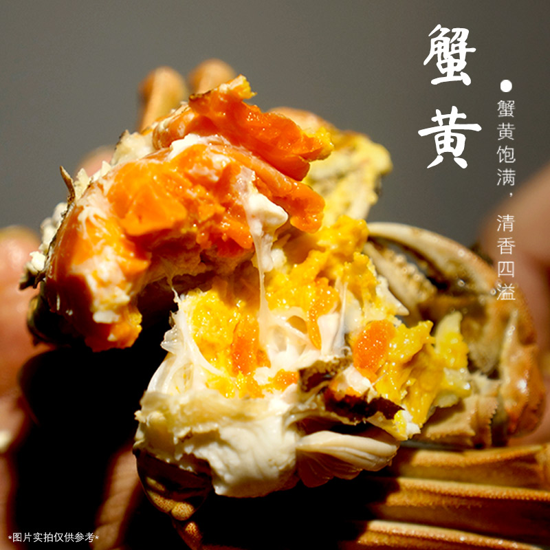 母2两-1.7两【送两只】  8/10/12只 江苏鲜活河蟹