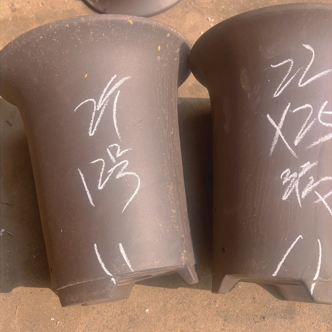 紫砂12………………………………