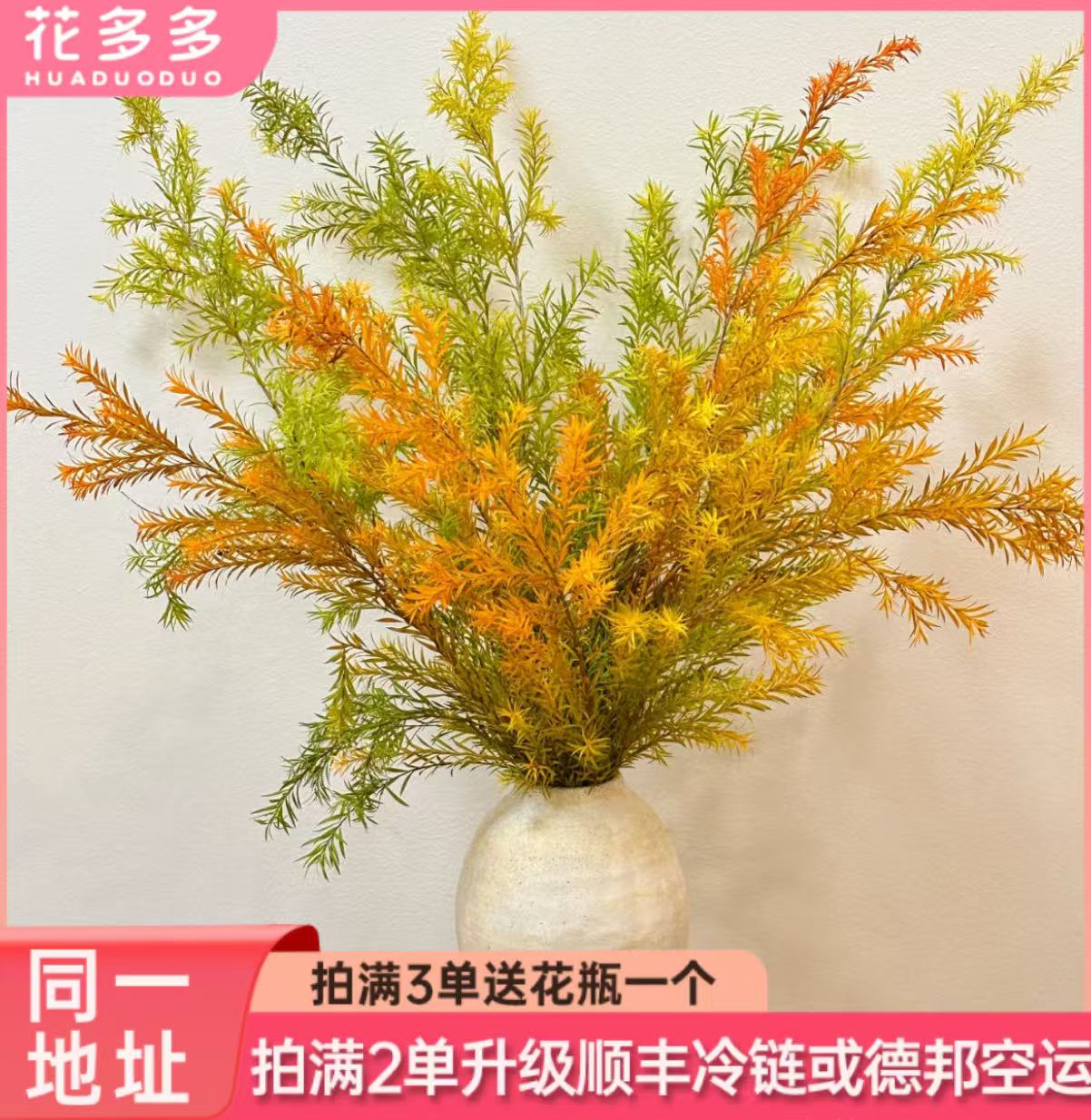 【千层金】全场鲜花任意满两单升级冷链 三单送花瓶