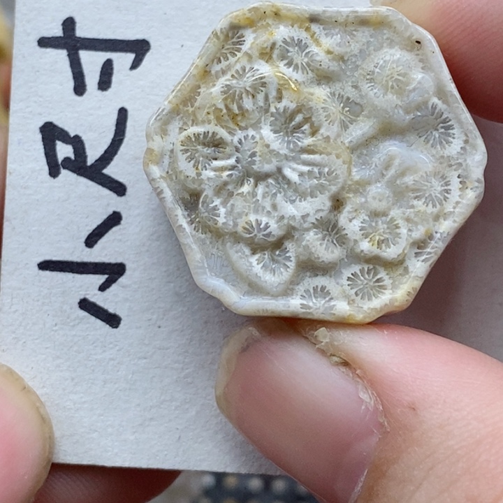 颈饰未镶嵌硅化珊瑚（珊瑚玉）