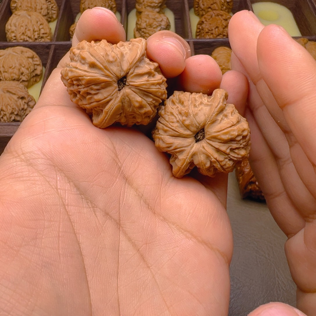 把件文玩核桃血麒麟