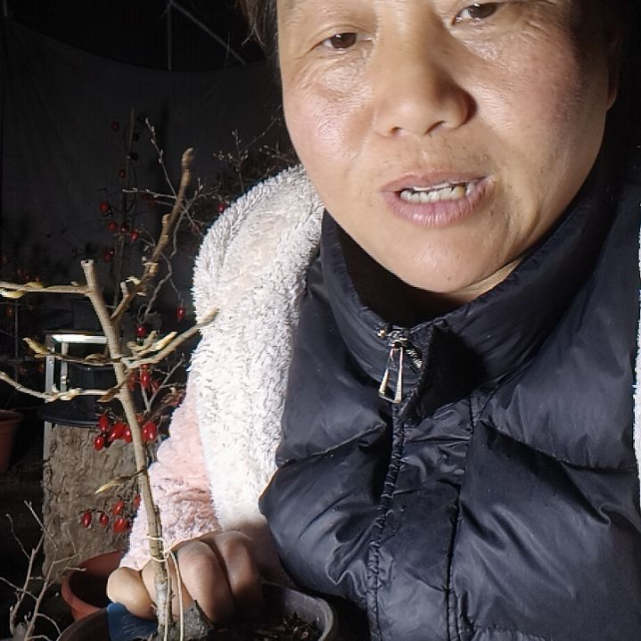 三***行无花朵12645558999