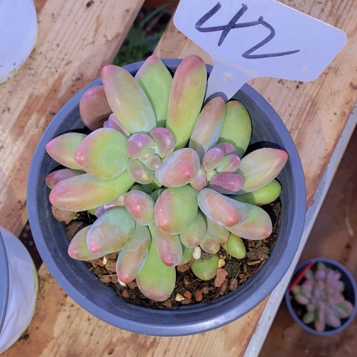 ?****?我自己在网上给他们