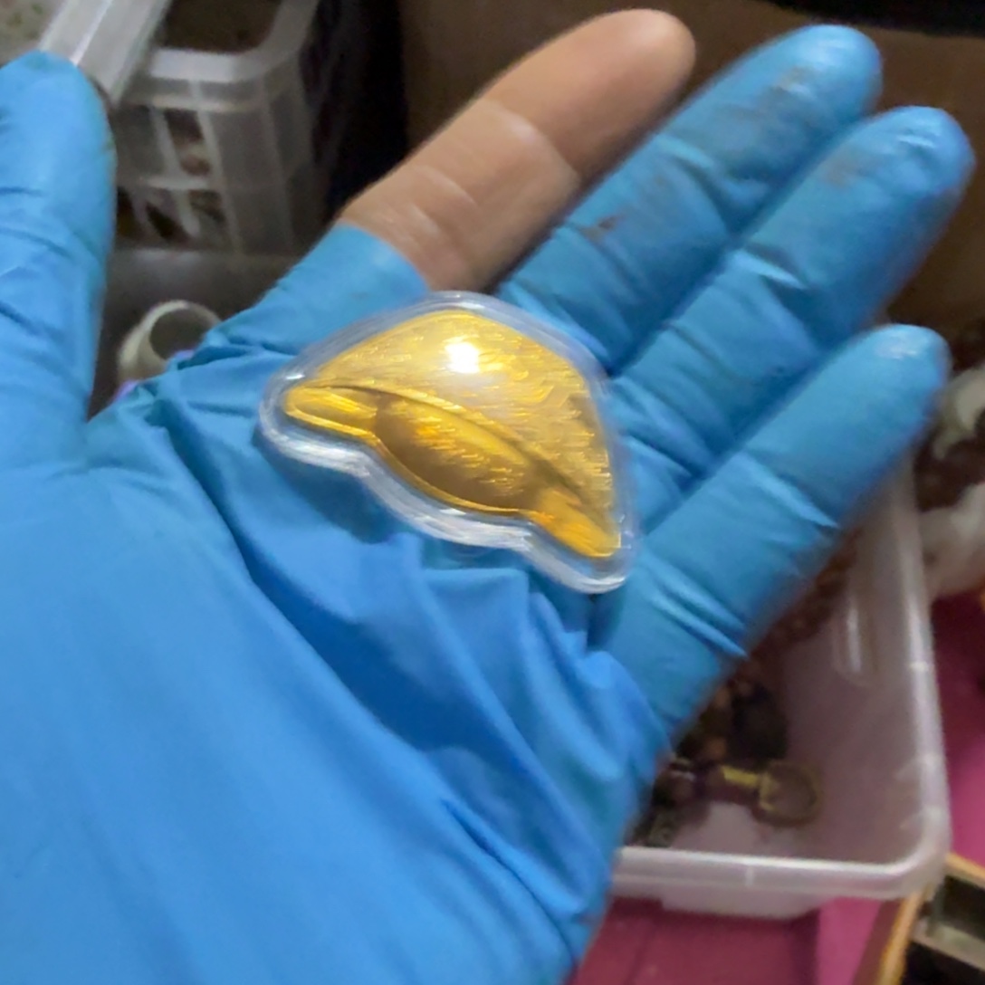 老***堡杂色豆（科檀/科特迪瓦檀木）