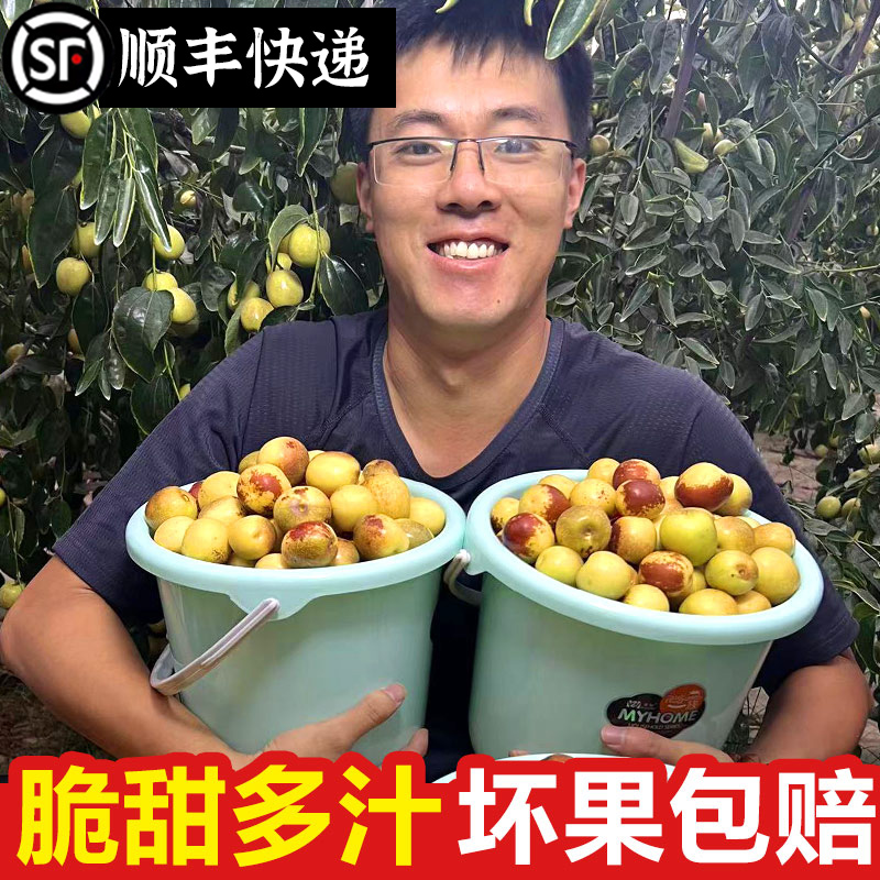 【顺丰包邮】陕西大荔冬枣脆甜大枣皮薄3/5斤原产地直发包邮礼盒