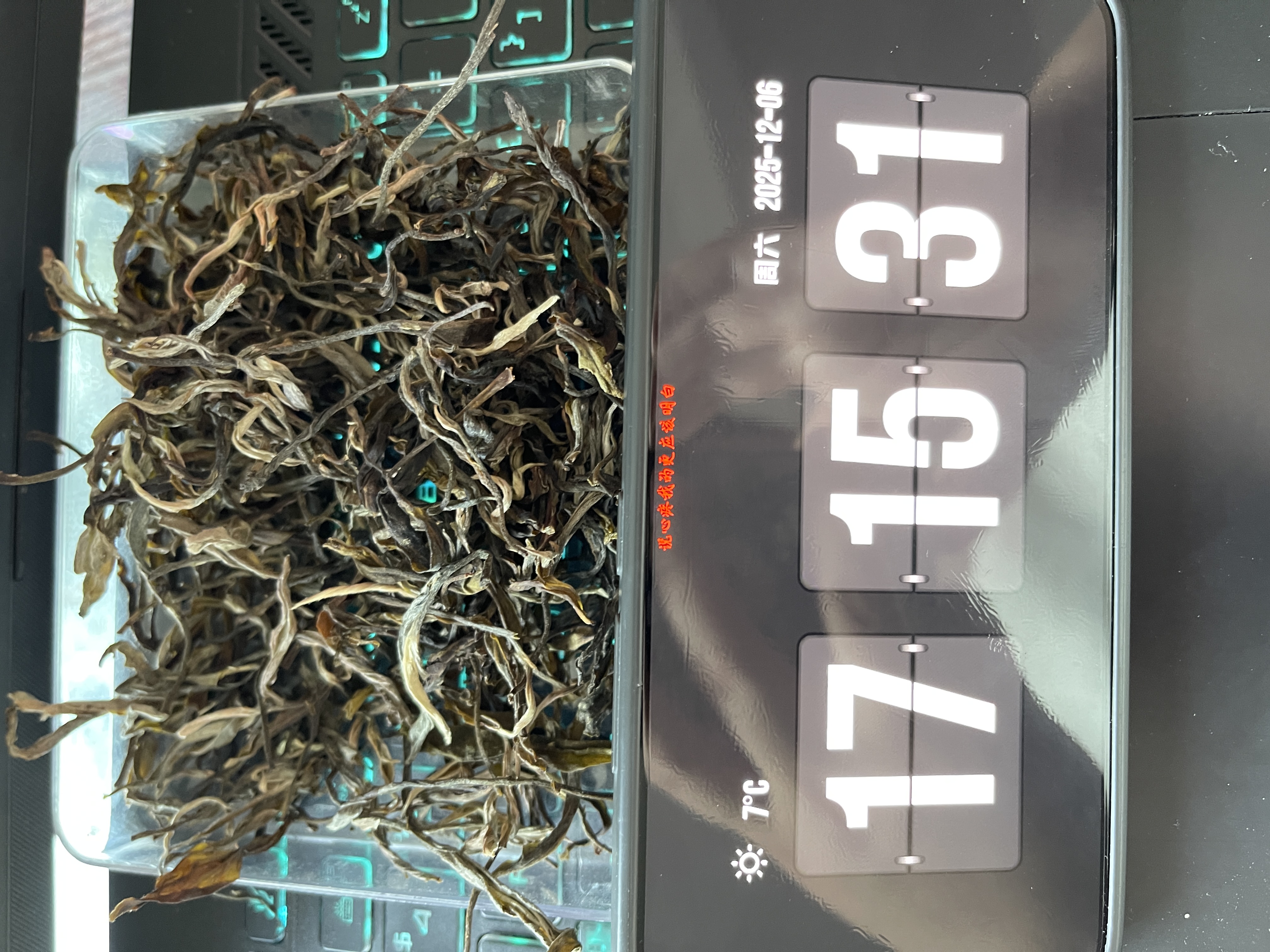 X1  2025年须立贡茶春茶  普洱茶  散茶  生茶 25/12/06