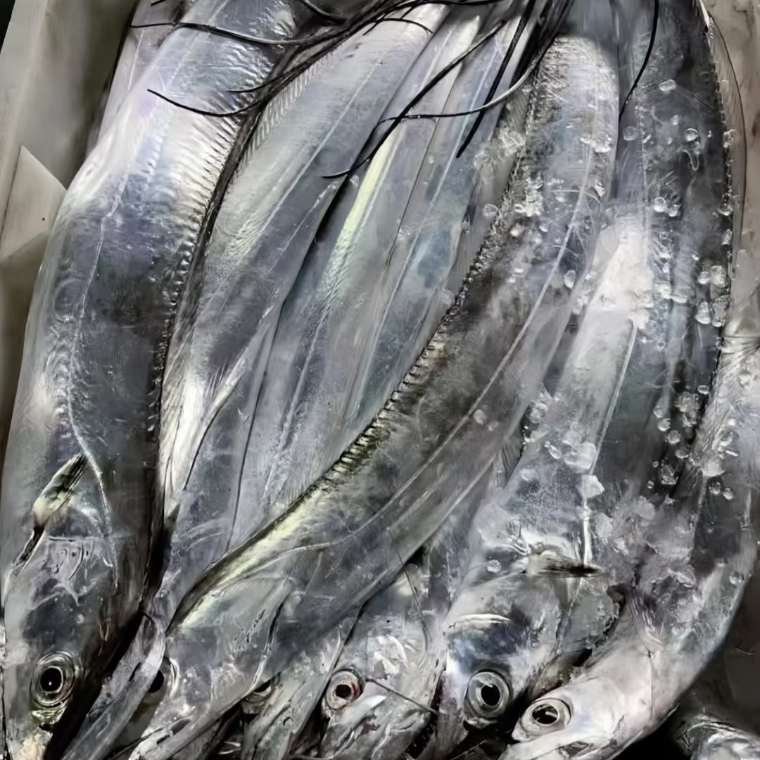 （整条发货）野生海捕大带鱼7-9两/条灯管亮带鱼鲜鱼刀鱼速冻顺丰冷运7-9两每条（实惠经济）