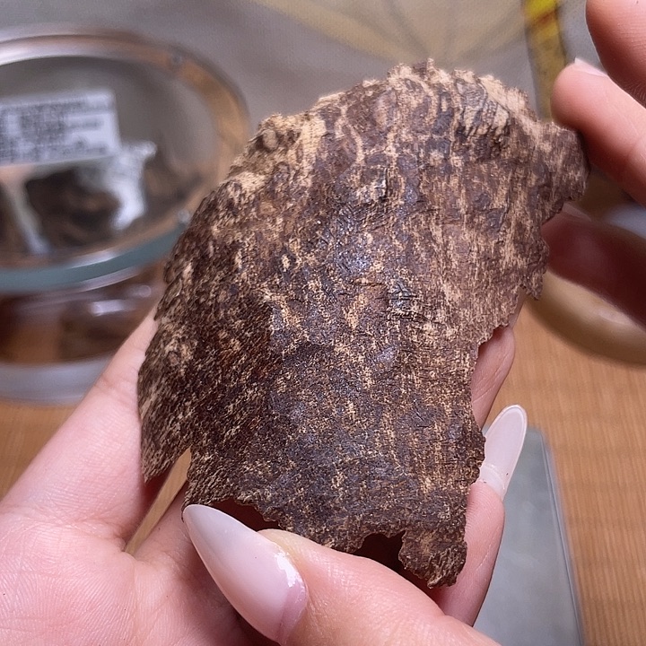 香榧木海南保亭沉水浮包壳3.8g