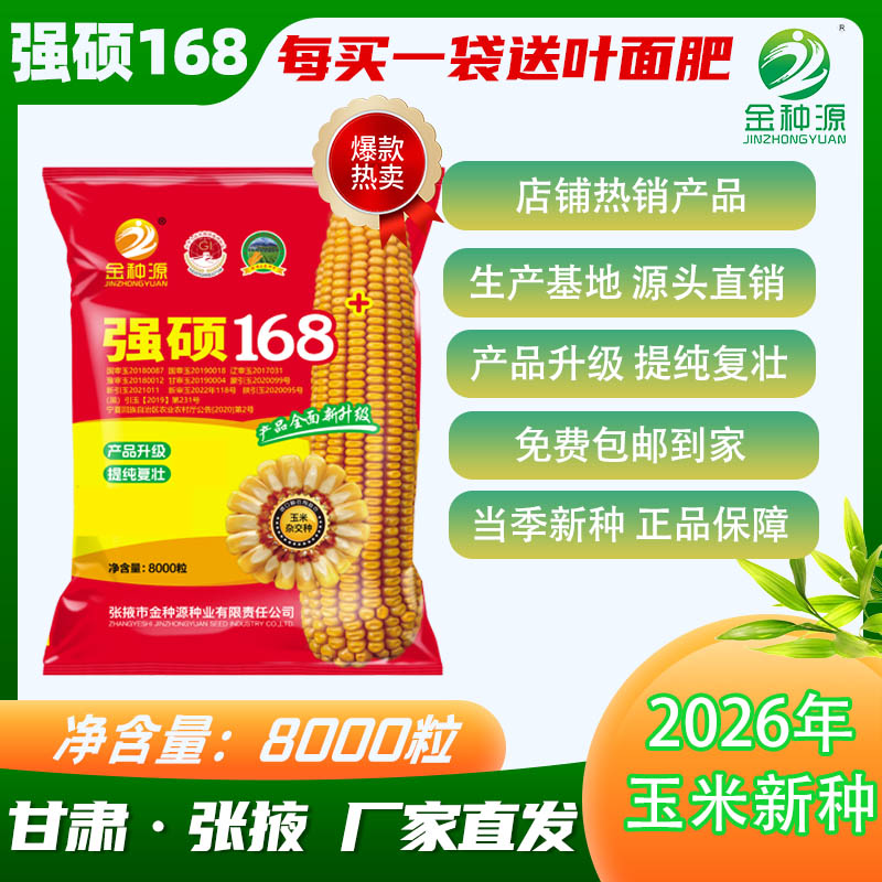 强硕168国审玉米种子金种源8000粒/袋优质