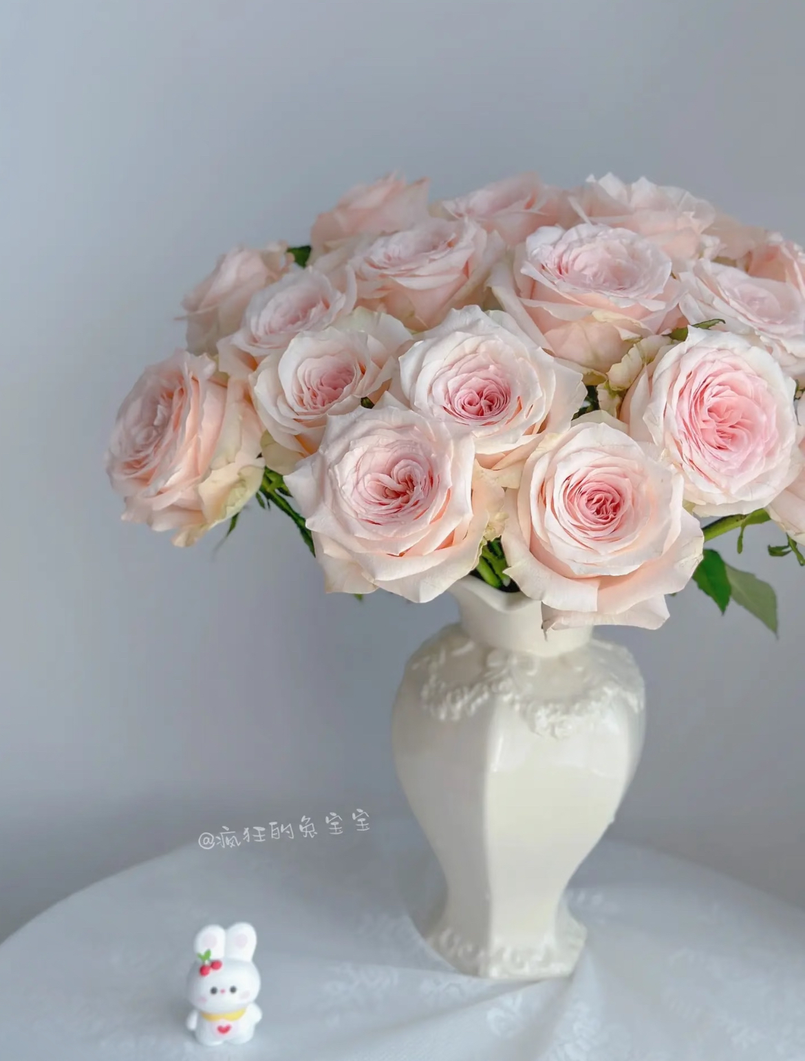 【双鱼座玫瑰10支】（20%不售后）