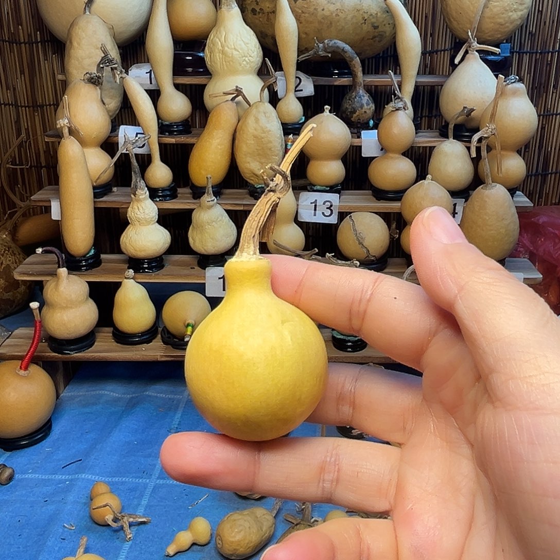 抽不裂的小手把9.9米包邮