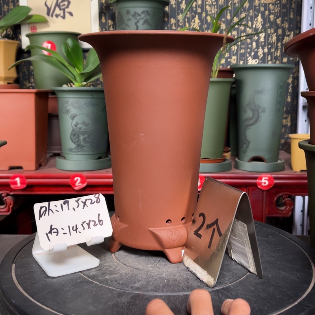 紫砂花盆紫砂花盆