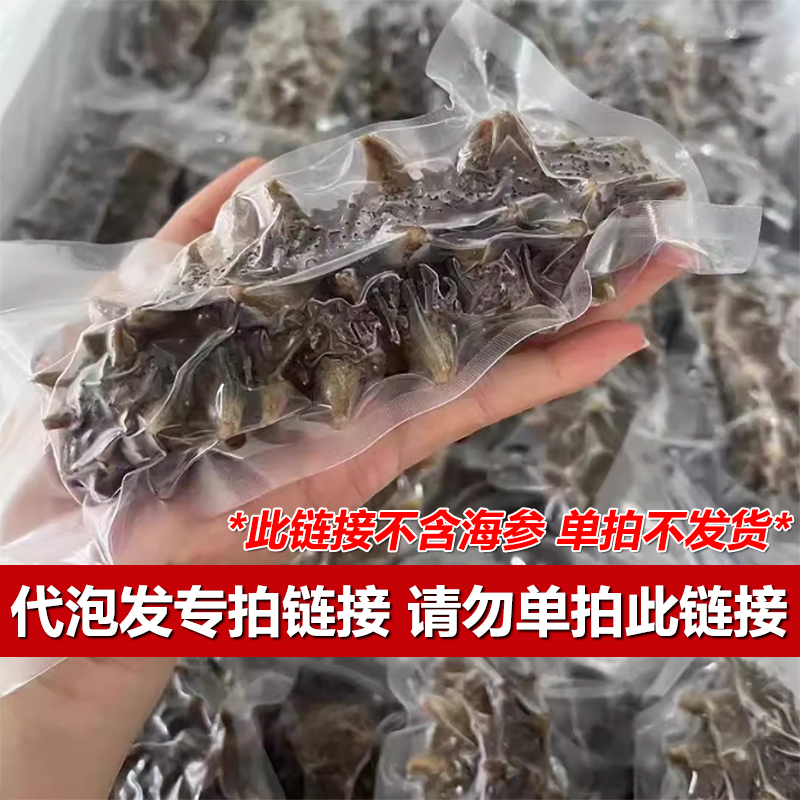 【代泡发，不含海参】代泡发海参链接干海参代泡发