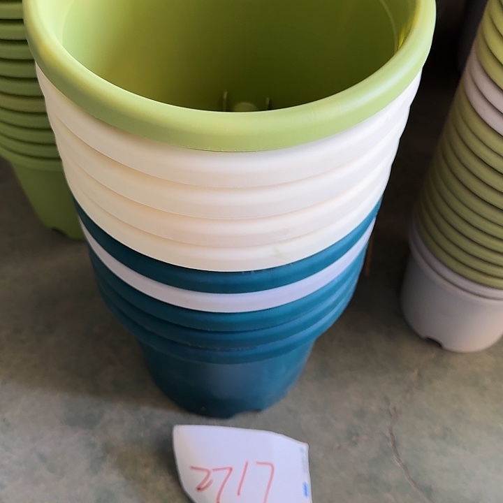 编号2717口21无托10个