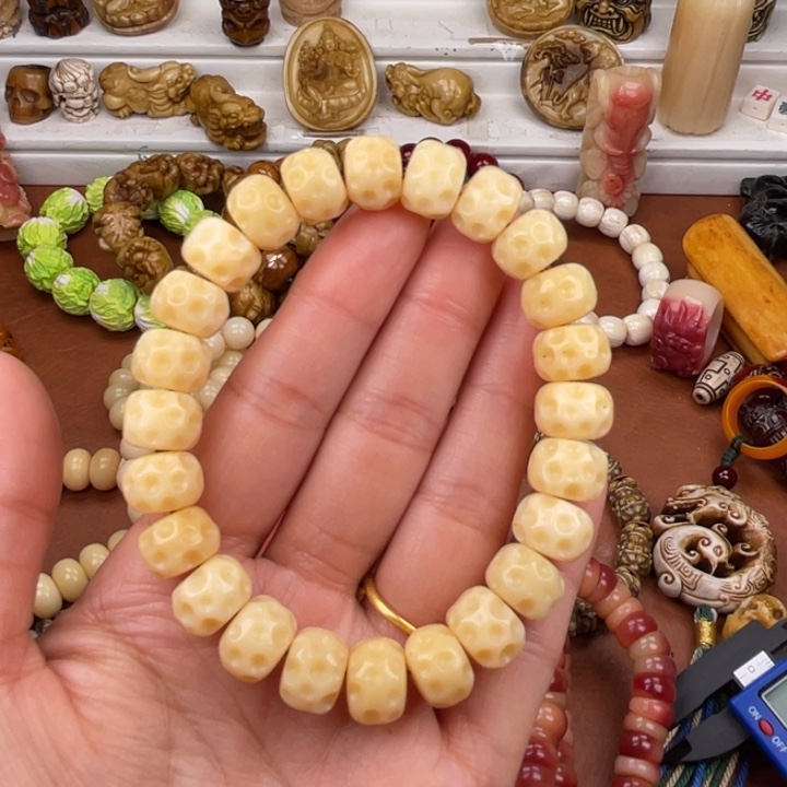 驼骨其他骆驼骨陨石坑12