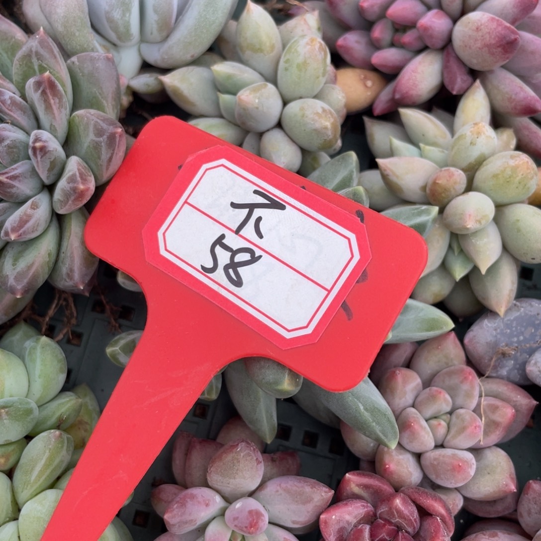 不***～姐姐说要不就是一条路是怎么