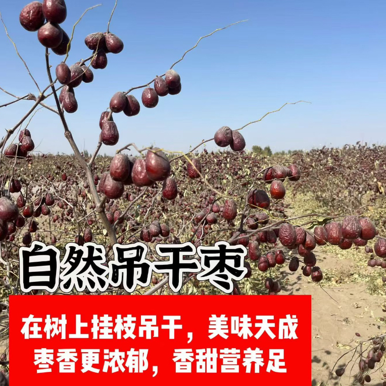 新疆和田原生态大枣｛2-3级果｝3—4厘米｛9-10干度5斤包邮