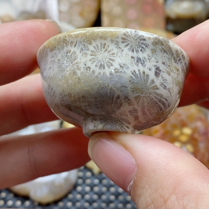 硅化珊瑚（珊瑚玉）颈饰未镶嵌