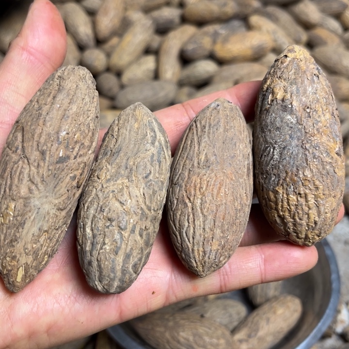 千眼菩提吊坠千眼菩提第34