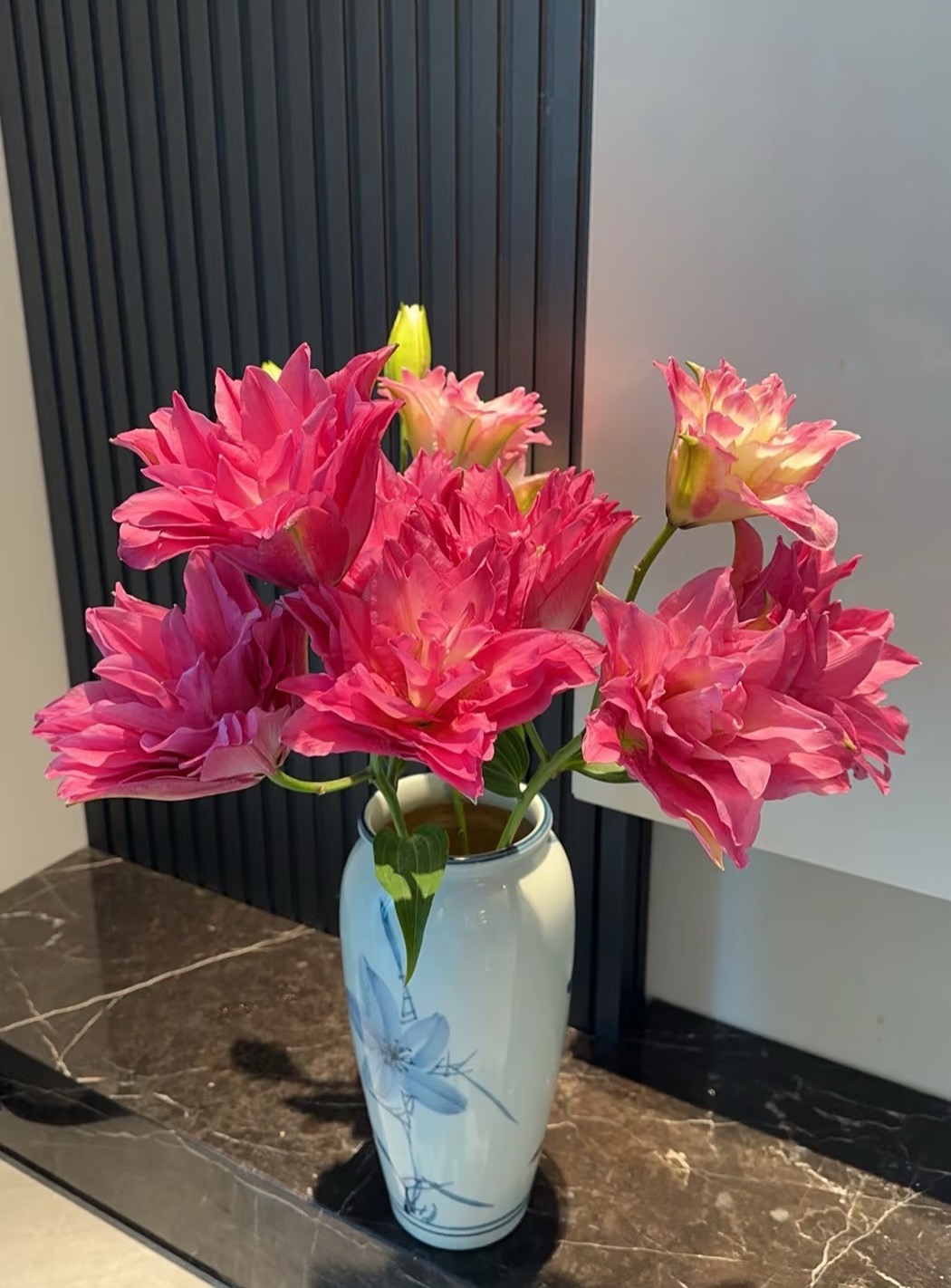 【宝莲灯】22+进口庭院阳台重瓣香水百合花种球