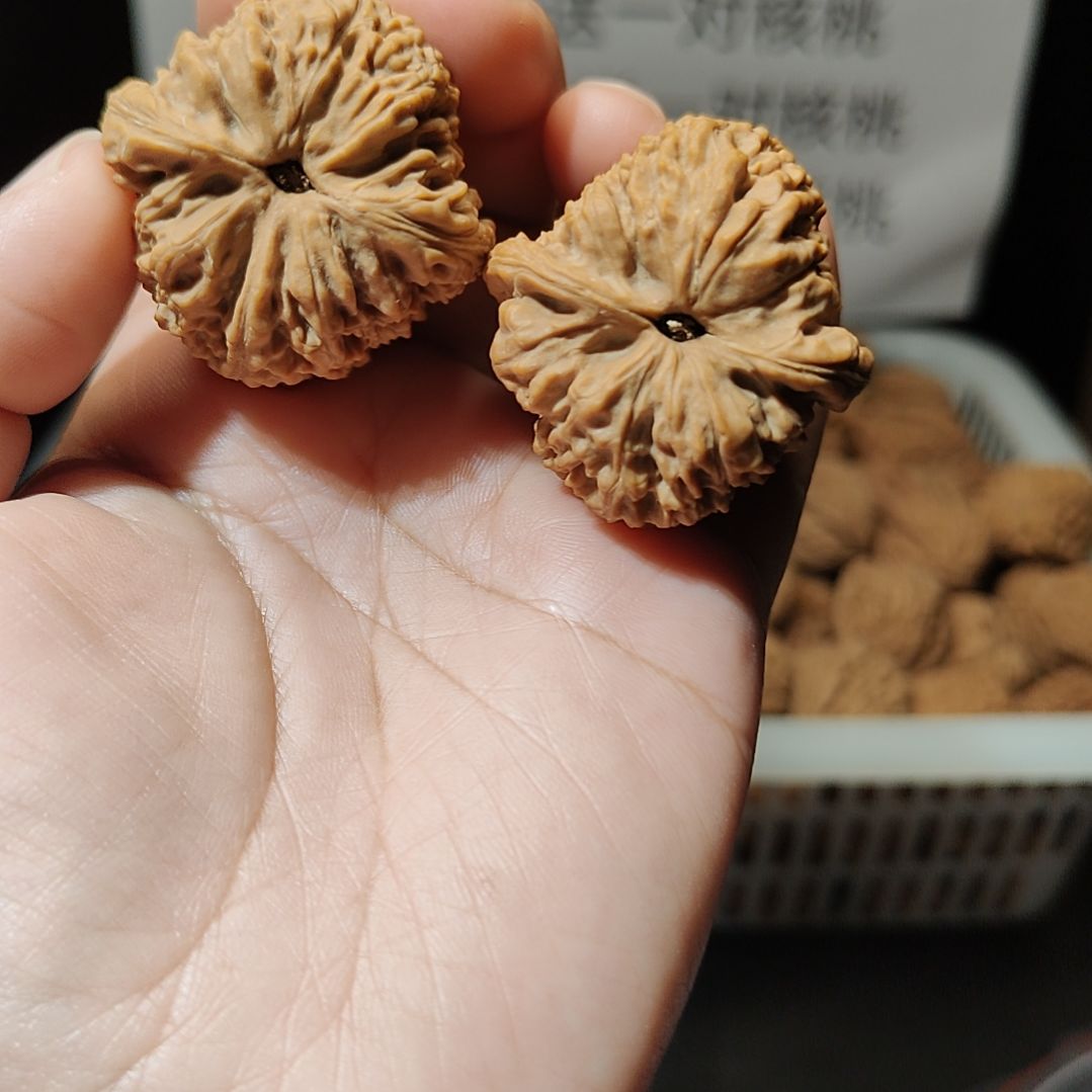 蛋***肉南疆石狮子头一物一图