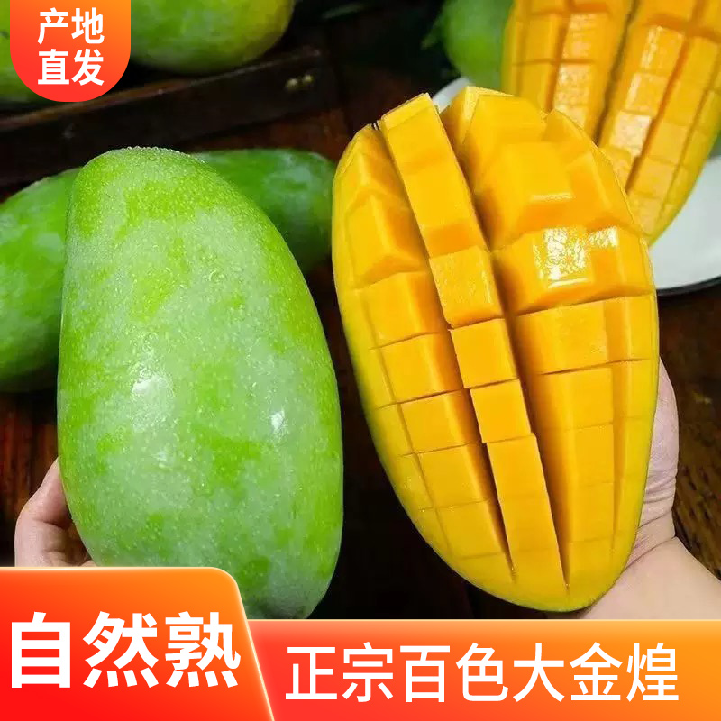 【记得专属】新鲜广西金煌芒现摘9.5斤大果整箱当季水果百色大金煌