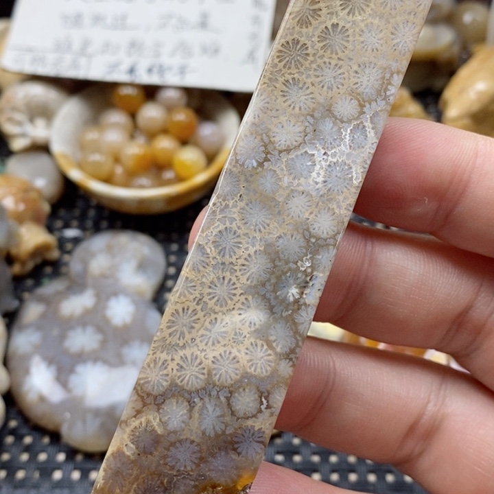 硅化珊瑚（珊瑚玉）颈饰未镶嵌