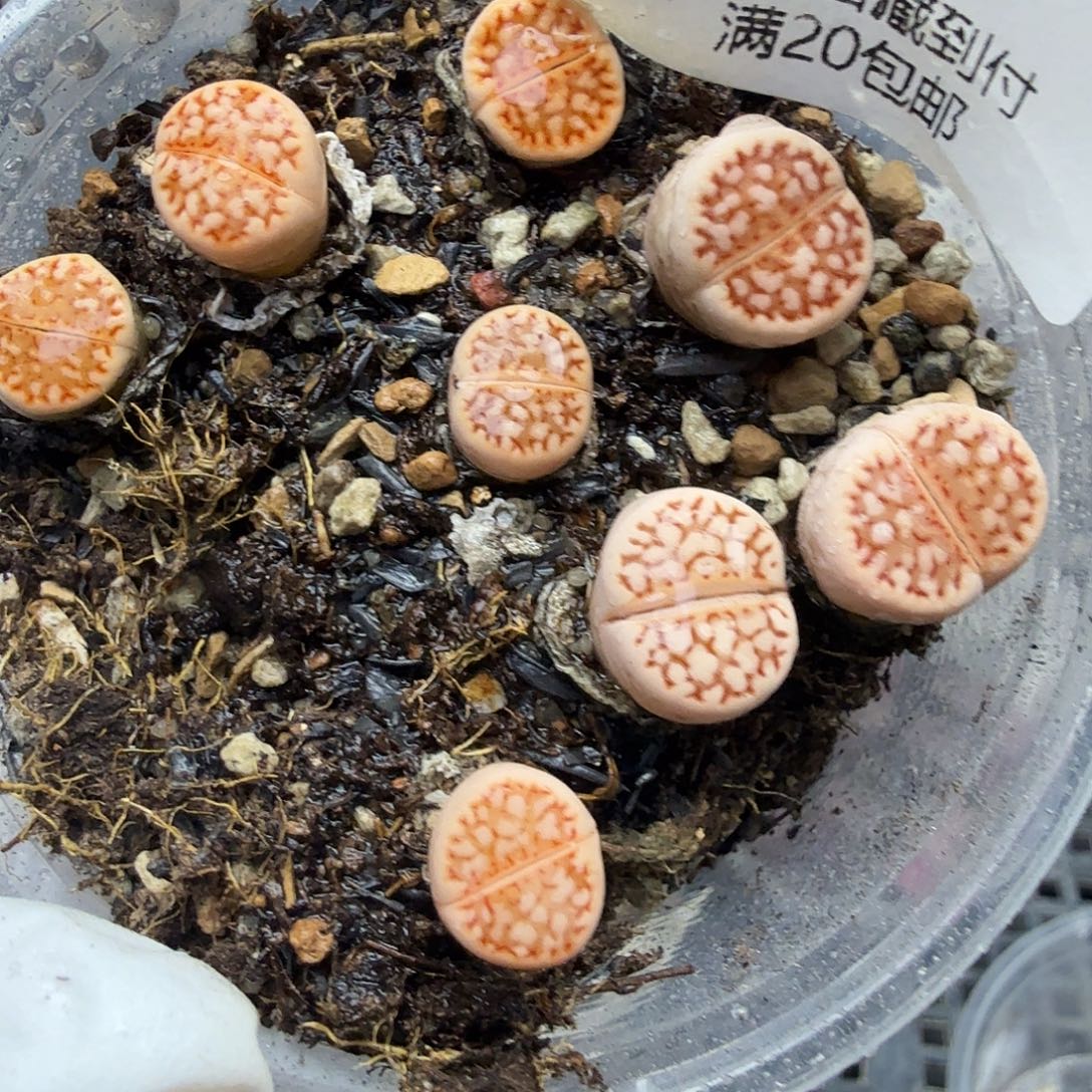 这个点睡起来了好开心316