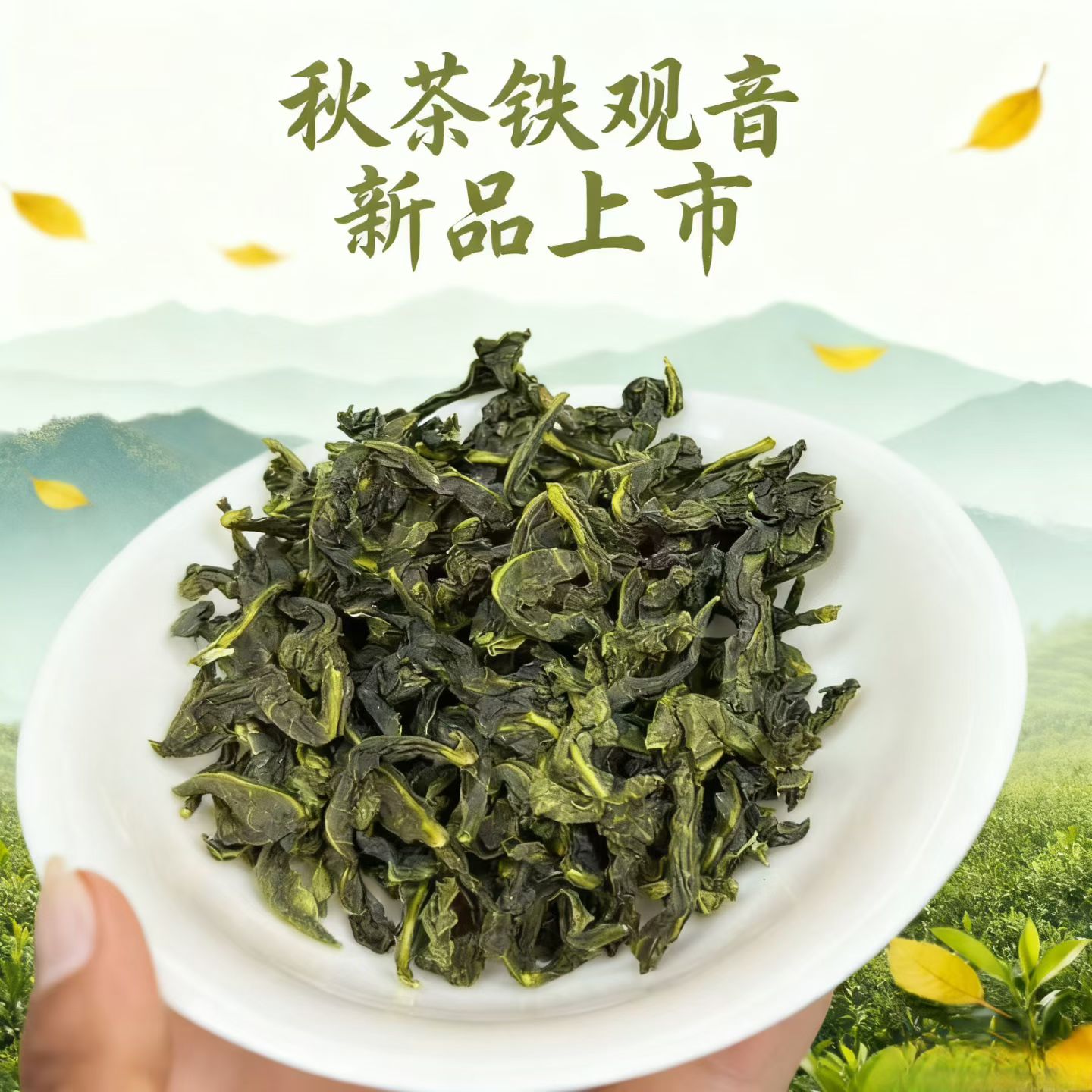 7#高山正味兰花香清香型安溪铁观音茶叶祥华感德产区回甘快鲜美