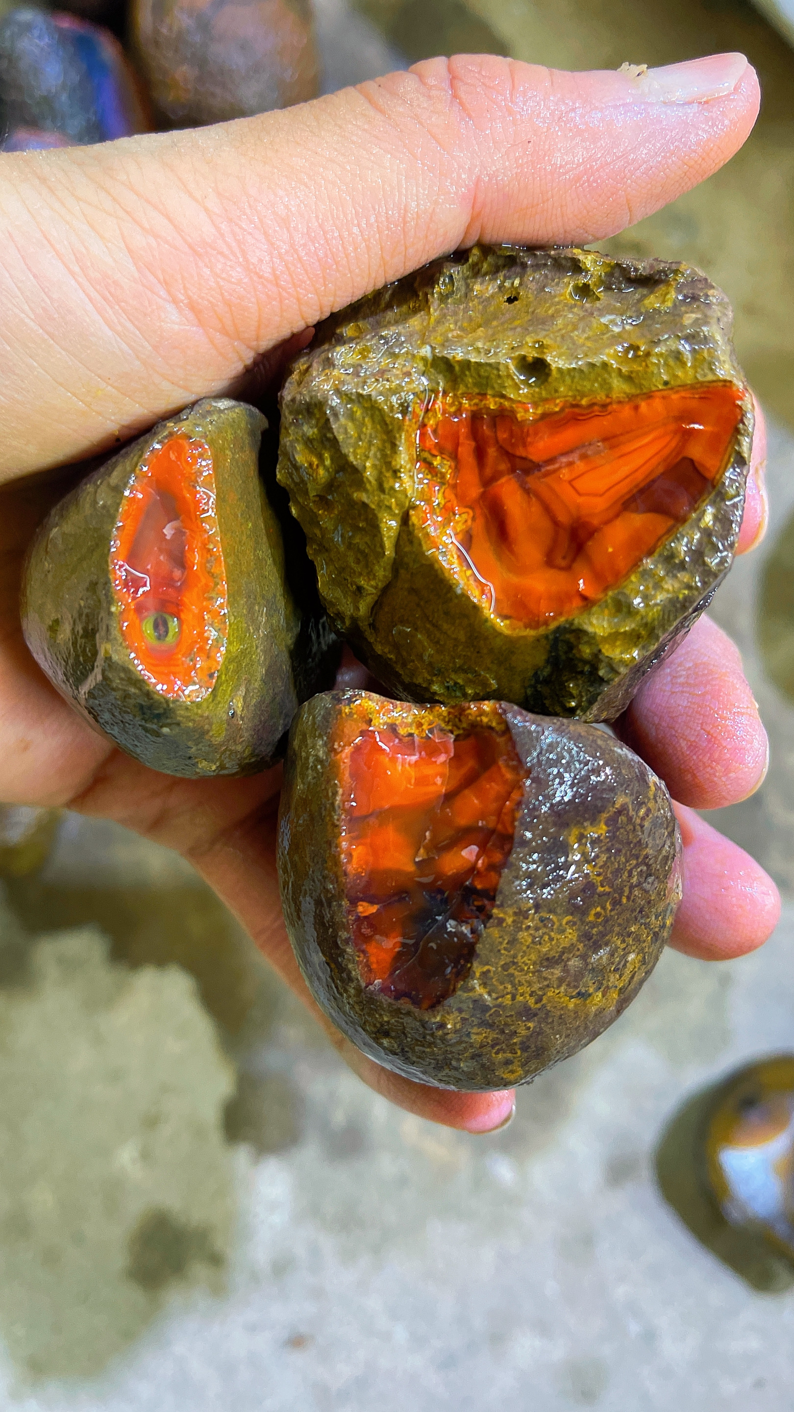 战国红玛瑙多样性发货专拍链接不退不换