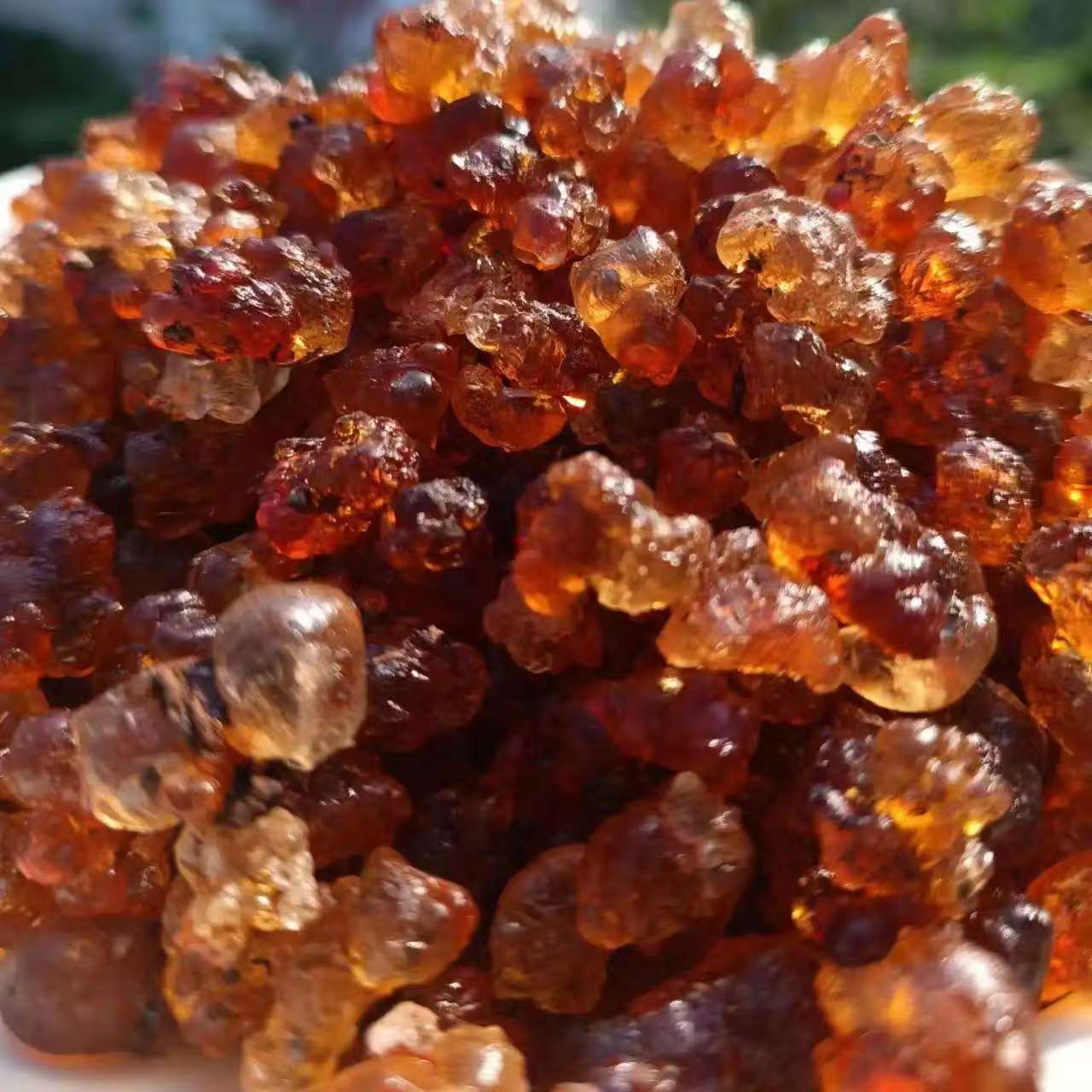 广水本地土桃胶天然人工采摘