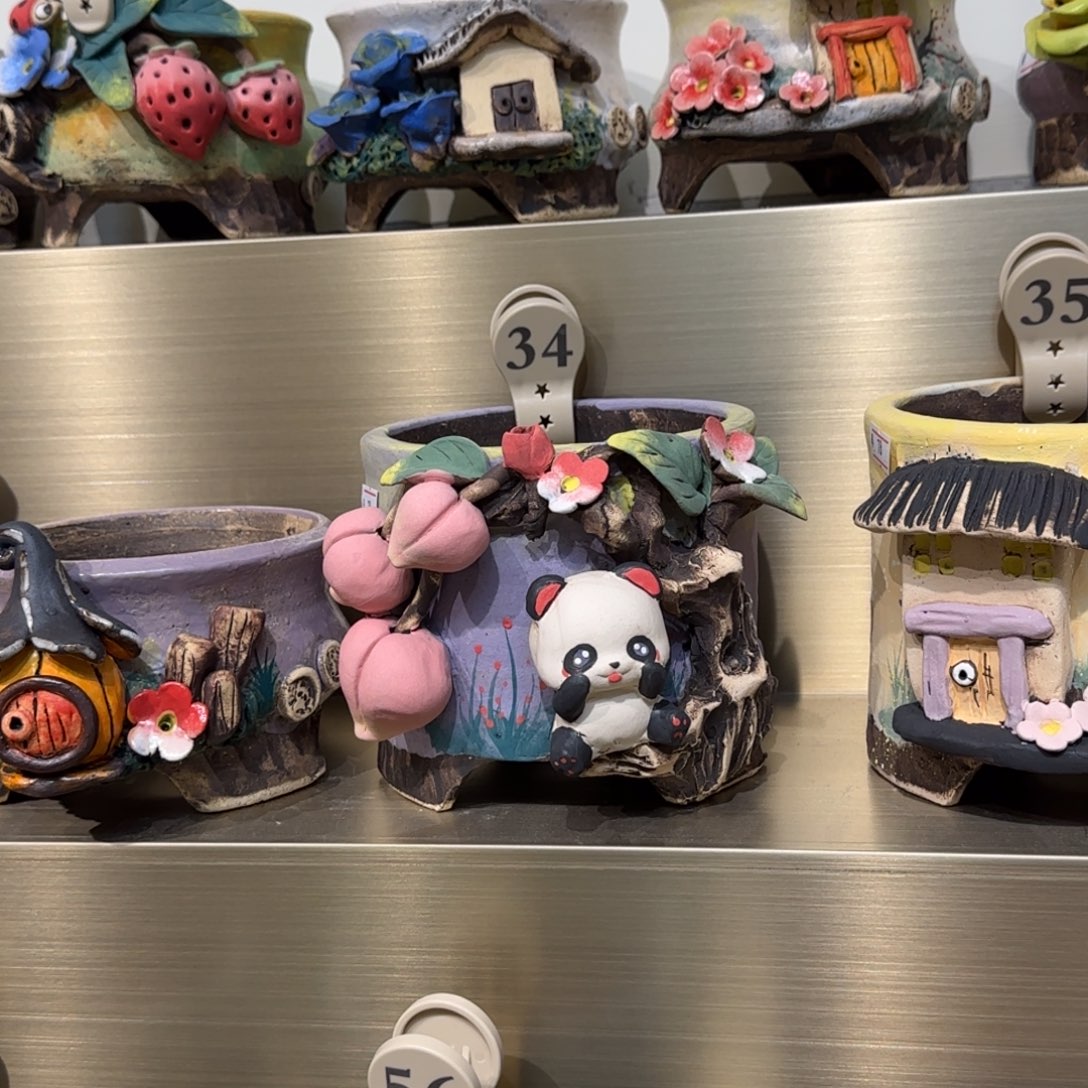 姣***姣34 【闪购】多肉花盆