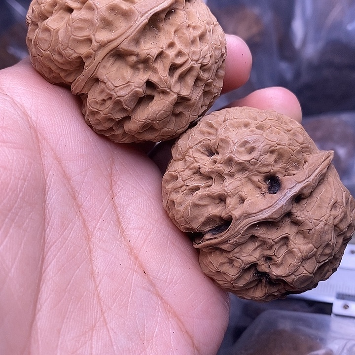 信***仰文玩核桃把件   195