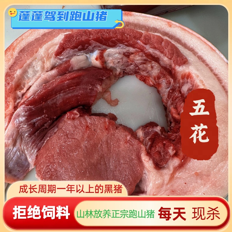 蓬蓬嘉道（五花肉）东北跑山猪猪肉粮食喂养肉质紧实鲜嫩口感香4斤