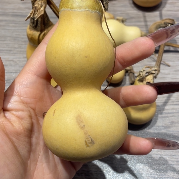 叶***之葫芦葫芦葫芦葫芦