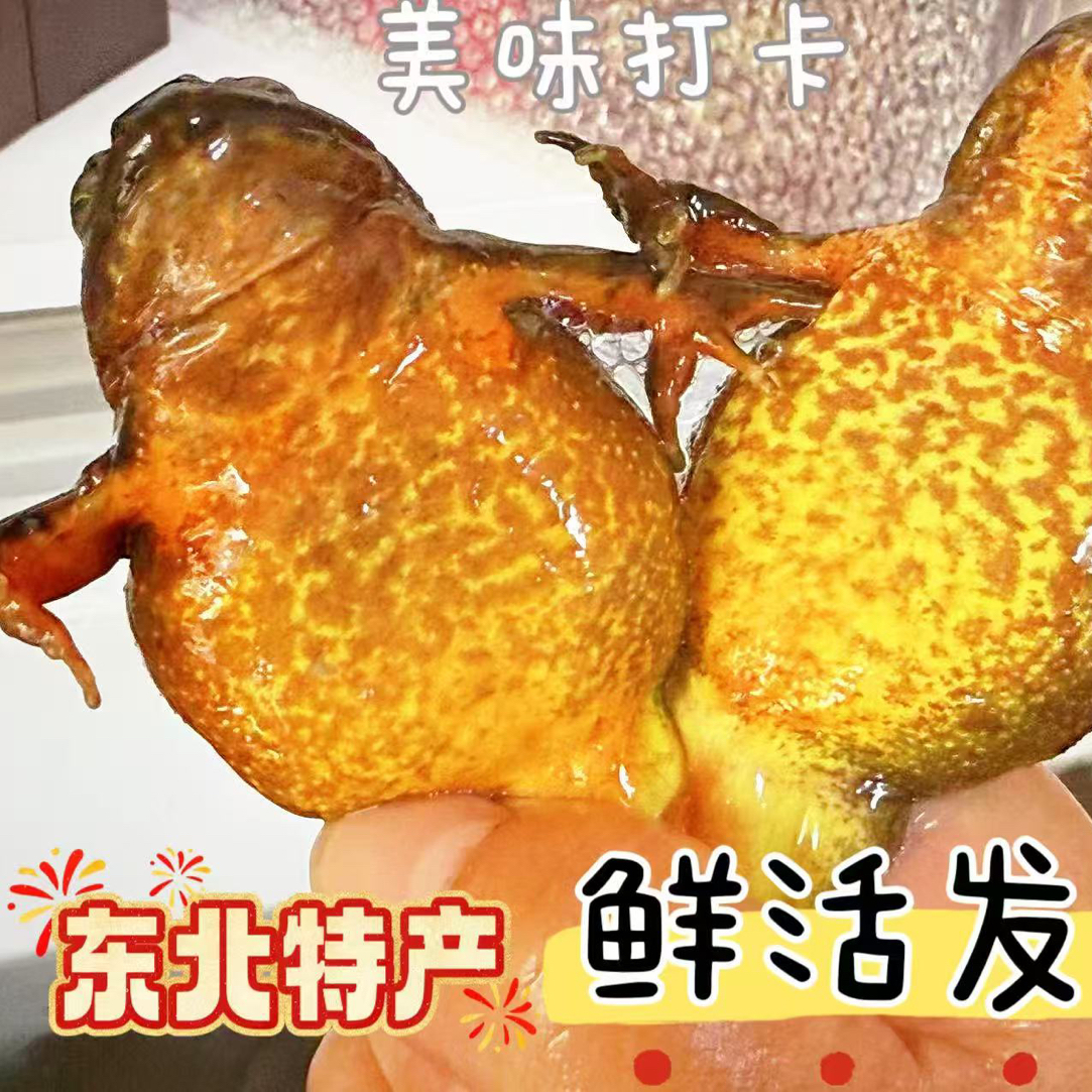 东北母豹子顺丰包邮赠大酱